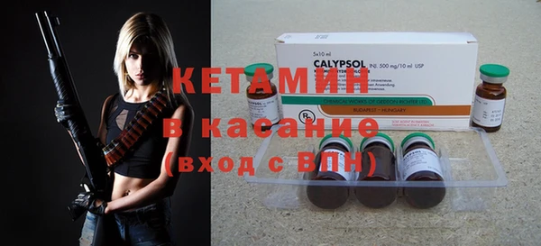 индика Корсаков