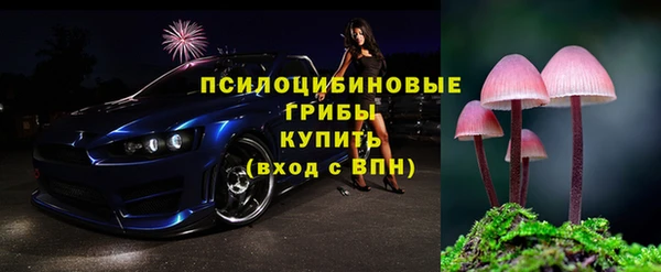 индика Корсаков