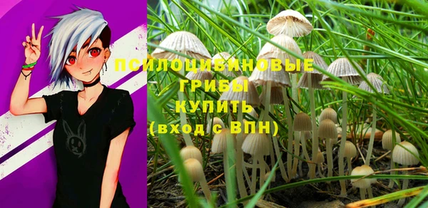 jwh Костерёво