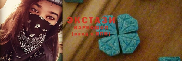 индика Корсаков