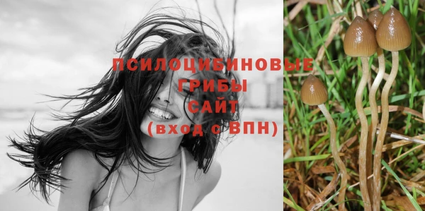 мдпв Коряжма