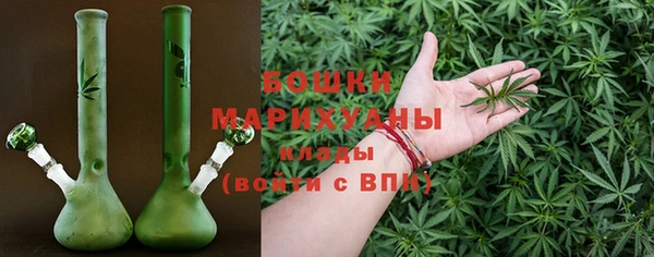 индика Корсаков
