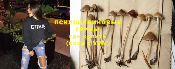 мдпв Коряжма