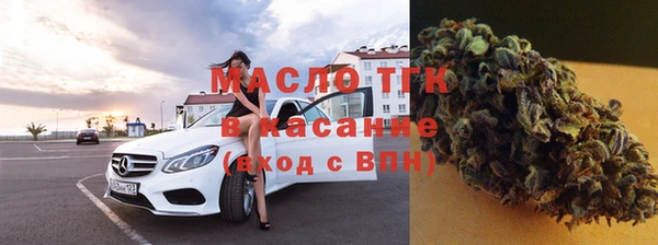 индика Корсаков