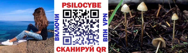 Псилоцибиновые грибы Magic Shrooms  Костерёво 